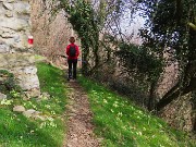 Festa di fiori sui sentieri per il Monte Ubione-6 marzo 2026-FOTOGALLERY